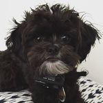 Brewer Allen - @brewerallen - Instagram