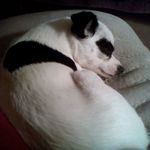 Gladees Allen Buckner - @gladeesallen - Instagram