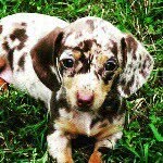 Allen burns - @allen_burns13 - Instagram