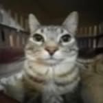 Allen Burns - @iv_ren - Instagram