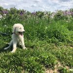 Hudson Allen-Cain - @your_bud_hud - Instagram