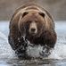 Allan Carmichael - Facebook