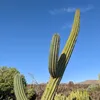 alleneconrad - @alleneconrad - TikTok