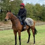 Conrad Allen - @conrad.allen.501 - Instagram