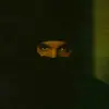 Cooper Allen - @allen.cooper_ - TikTok