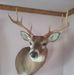Allen Cosner - Facebook
