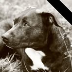 Allen Coyle - Facebook