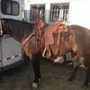 allencoyle4 - @allencoyle4 - TikTok