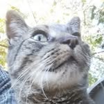 R Allen Craft Jr. - @craftallen - Instagram