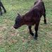 Allen Crigger - Facebook