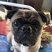 Allen Crites - Facebook