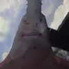 Allen_crow_e - @allen_crow_e - TikTok