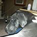 Allen Culp - Facebook