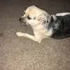 Allen Cunningham - @allencunningham020 - TikTok