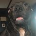 Allen Cunningham - Facebook