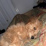 Kasey Allen Custer - @ghost.dragon420 - Instagram
