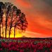 Allen CYR - Facebook