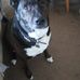 Allen Davis - Facebook