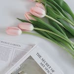 @allend_are_al - Instagram