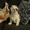 allenjdiaz96 - @allenjdiaz96 - TikTok