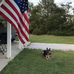 Allen Dillard - @allendillard74 - Instagram