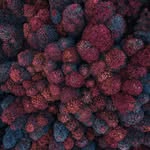 Allen Dyer - @allendyerweq76964 - Instagram