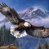 Larry Allen Dyer - @larry.allen.dyer - TikTok