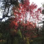 Samantha Engle - @allen.engle.83719 - Instagram