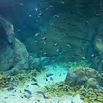 Allen - @_allen_everett_ - Instagram