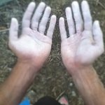 Allen Ewings - @allenewings - Instagram
