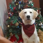 Maximus Allen Ewing - @snacksamus - Instagram