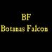 Alan Falcon - Facebook