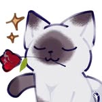 Allen Falcon - @allen_falcon_ - Instagram