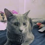 Allen Ferguson - @allenferguson973 - Instagram