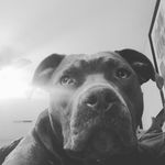 Allen Fowler - @allen.fowler.5895 - Instagram