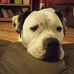 Allen Gaddy - Facebook
