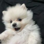 Allen gilbert - @rwawrzkiewicz - Instagram