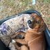 Allen Gilbert - Facebook