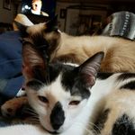 Allen Gilbert - @aggilbert2010 - Instagram