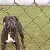 Allen Gilbert - @allen.gilbert1 - TikTok
