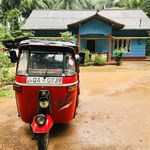 Allen Gilbert - @allen.gilbert1 - Instagram