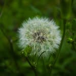 Allen Glenn - @allenglenn72 - Instagram
