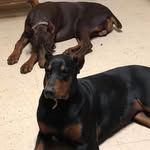 Allen Grant - @allengrant679 - Instagram