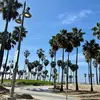 Allen han - @allen.han7 - TikTok