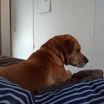 Allen Harrison - @allen.harrison.790 - Instagram