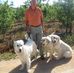 Allan Heaps - Facebook