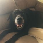 allen Herrmann - @allen_herrmann0209 - Instagram