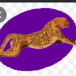 H. allen hight elementary 😈👊🏽 - @h.allenhightelementaryschool - Instagram