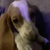 Allen Hilton - @allen.hilton - TikTok