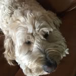 Allen Hodges - @allenleroyhodges - Instagram
